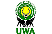 Uwa